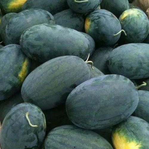 黑料正能量吃瓜入口,揭秘娱乐圈吃瓜背后的真实故事